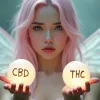 CBD vs THC Which One Should You Choose