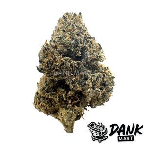 Lemon Cherry Gelato 1