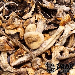 Makilla Gorilla Magic Mushrooms