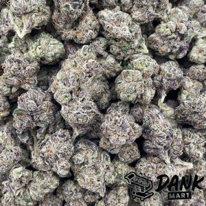 AAA Kings Flower - Curelato