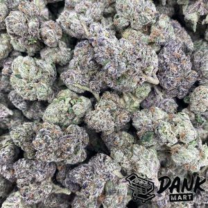 AAA Kings Flower - Lemon Cherry Gelato