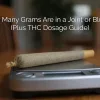How Many Grams Are in a Joint or Blunt (Plus THC Dosage Guide)