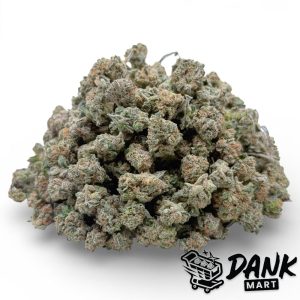 Lemon Popper 'Smalls'