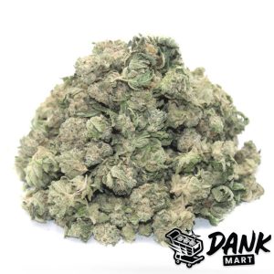 Sunset Sherbet 'Smalls'