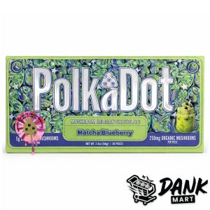 PolkaDot Mushroom Belgian Chocolate (5g) - Matcha Blueberry