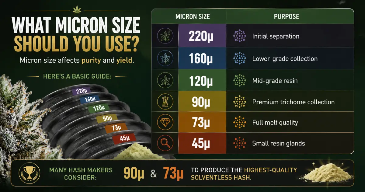 What Micron Size Should You Use