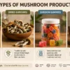 Polkadot Bar vs. Other Mushroom Products: Everything You Need to Know Before You Buy