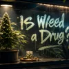 Is Weed a Drug? Cannabis, THC, CBD & Marijuana Explained