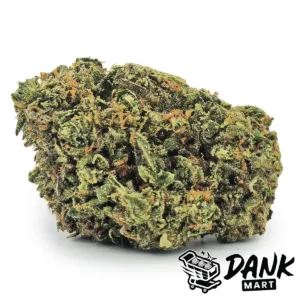 Northern Lights