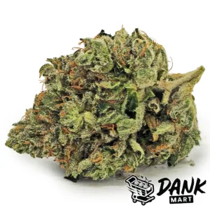 Astro Dog OG