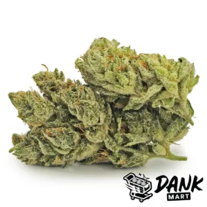 Chocolate Diesel