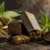 Hash Explained: Everything You Need to Know About Cannabis Hash