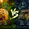 Weed Edibles vs Smoking: Which Is Better? A Complete Guide to Effects, Safety & Duration (2026)
