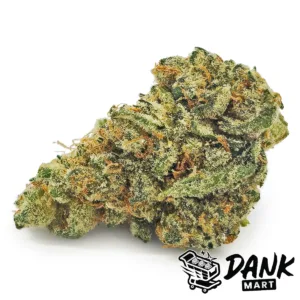 Fruit Punch