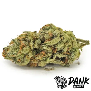 Orange Skunk