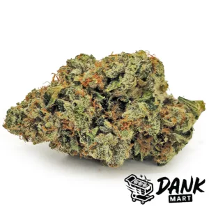 Route 66 OG