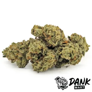 Gas N Glue