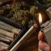 How to Light a Pre-Roll Properly: The Complete Beginner's Guide