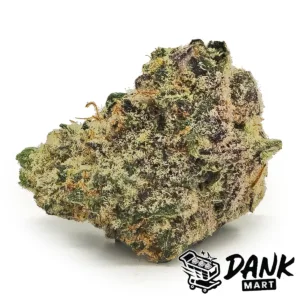 Orange Cream Pop