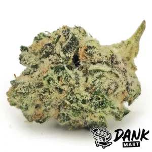 Strawberry Shortcake