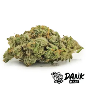 Tropical Tangie