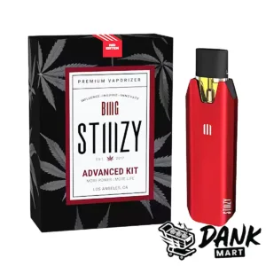Stiiizy Biiig Battery