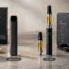 Disposable Carts vs. Vape Carts: What's the Difference & Which THC Vape Is Right for You?