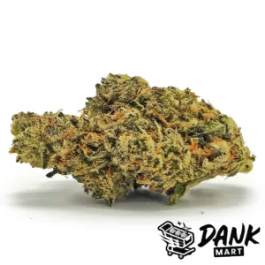 Haley's Haze