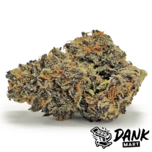 Kobain Kush