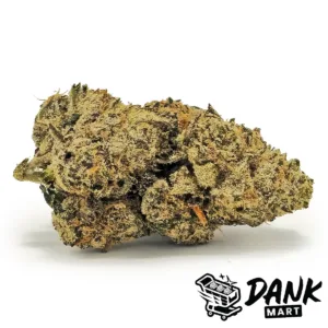 Lava Cake
