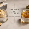Live Rosin vs. Live Resin: What's the Difference and Which Cannabis Concentrate Is Right for You?