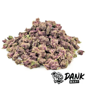 Purple Linda 'smalls'