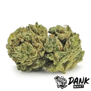 White Glue